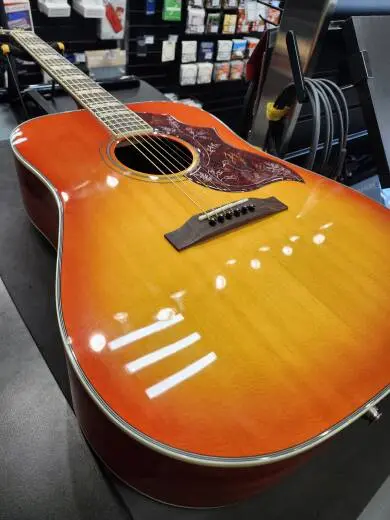 Epiphone - EEHBFCNH 2